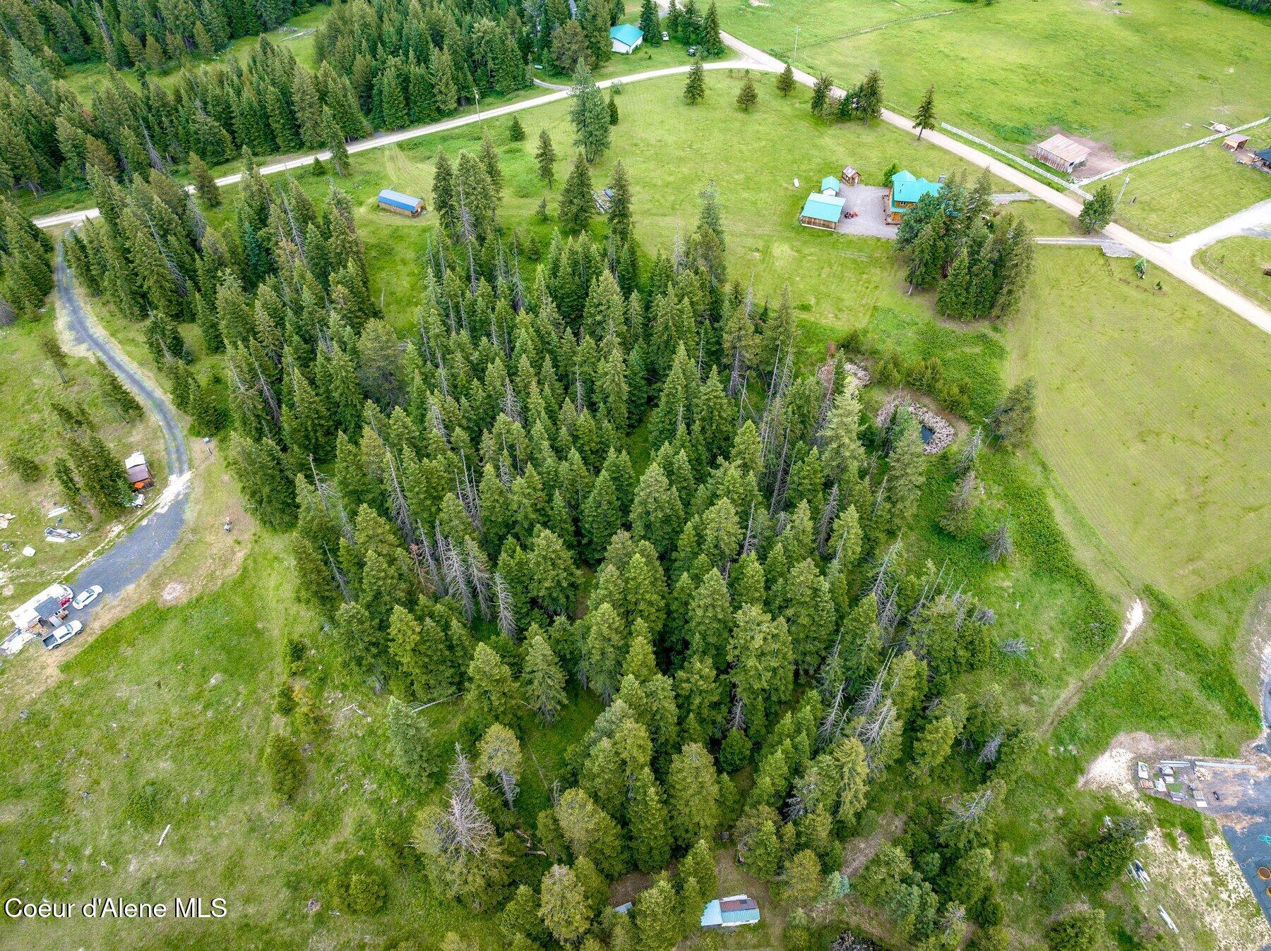 100 Timberline Drive St. Maries, ID 83861 - Photo 34 of 44 --29.jpg-SMALL