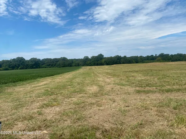 $219,000 | Leesburg Road, Pelahatchie, MS 39145