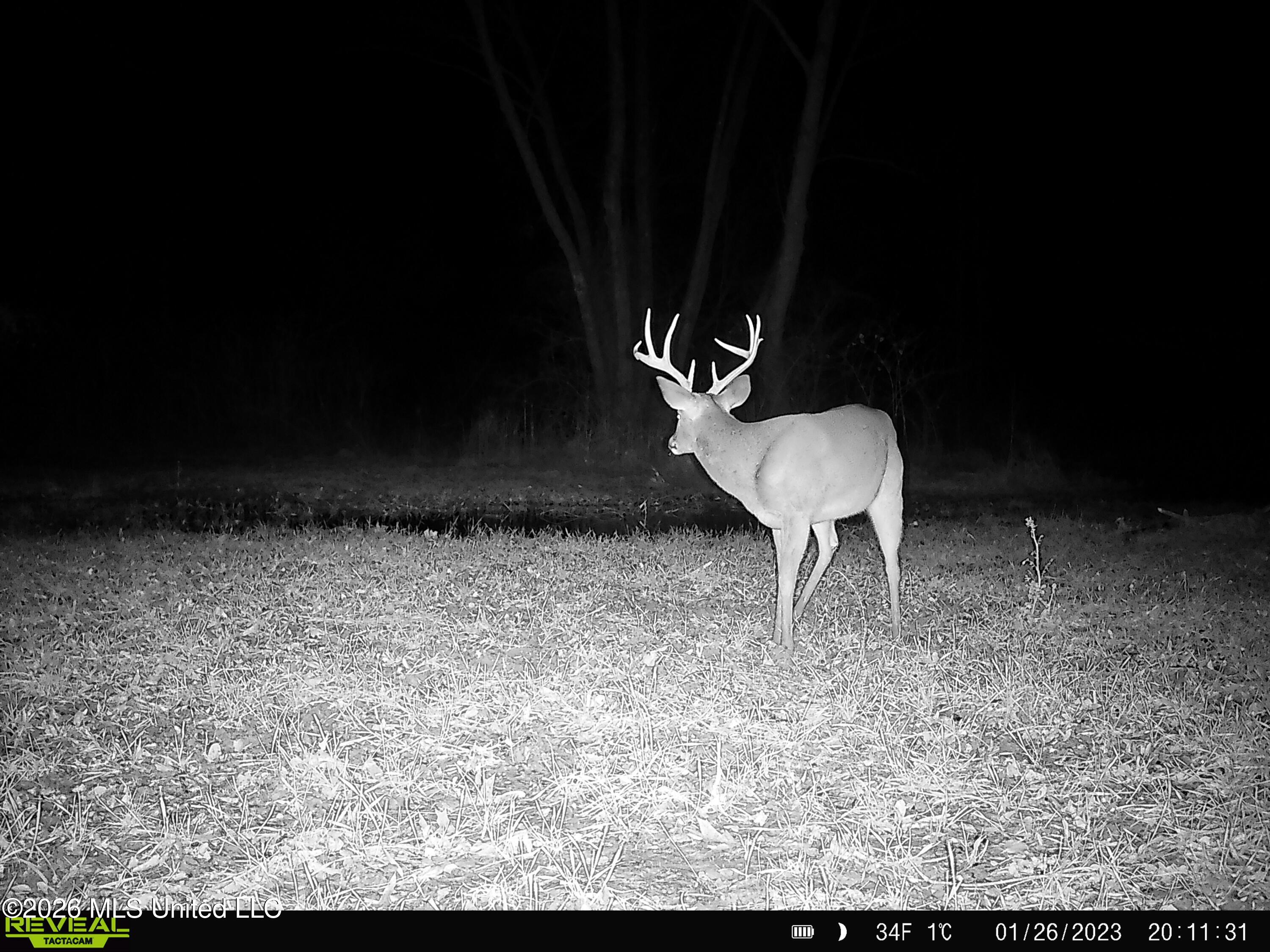 Leesburg Road Pelahatchie, MS 39145 - Photo 11 of 15 SYFW0380