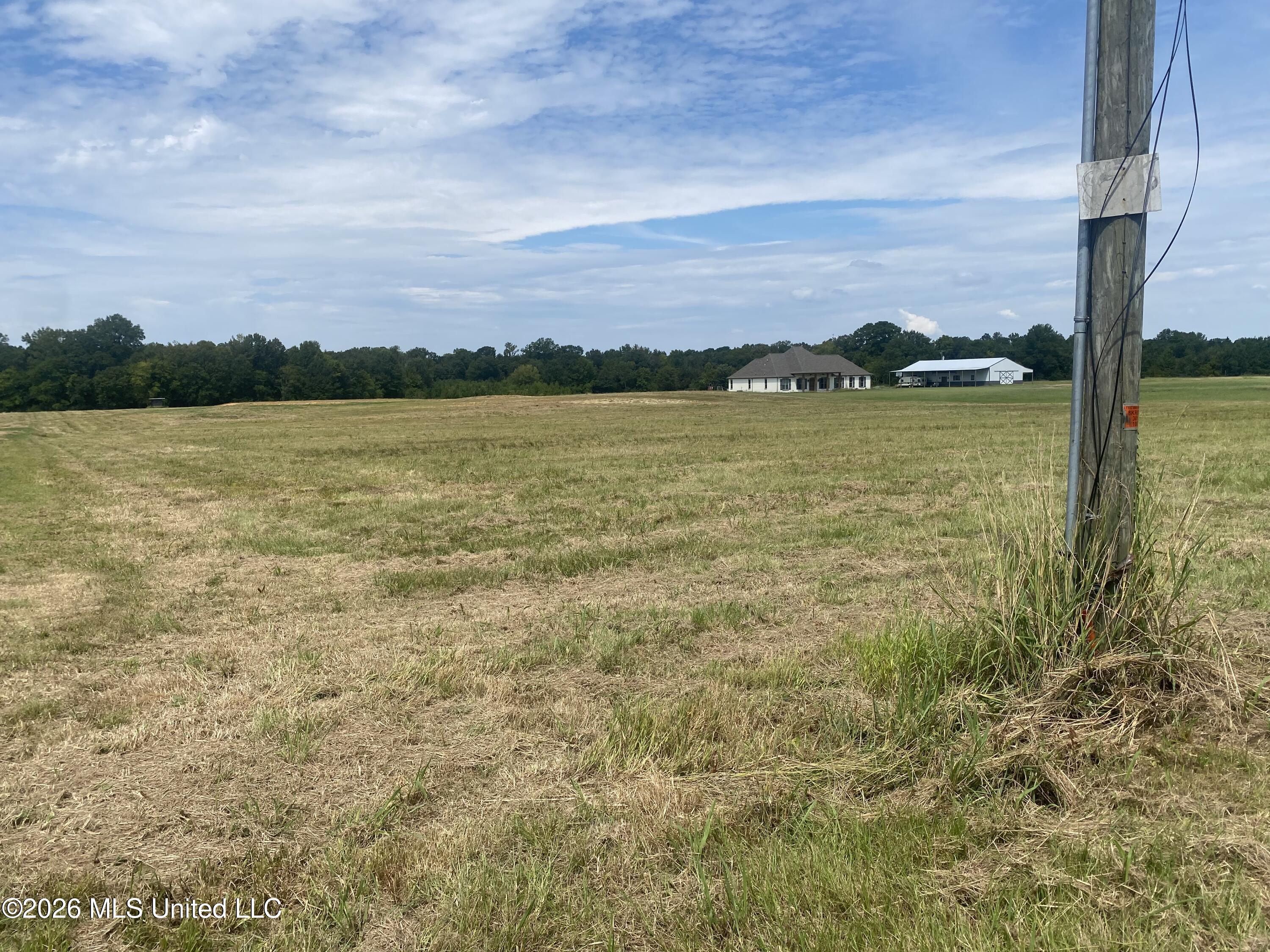 Leesburg Road Pelahatchie, MS 39145 - Photo 2 of 15 IMG_0819