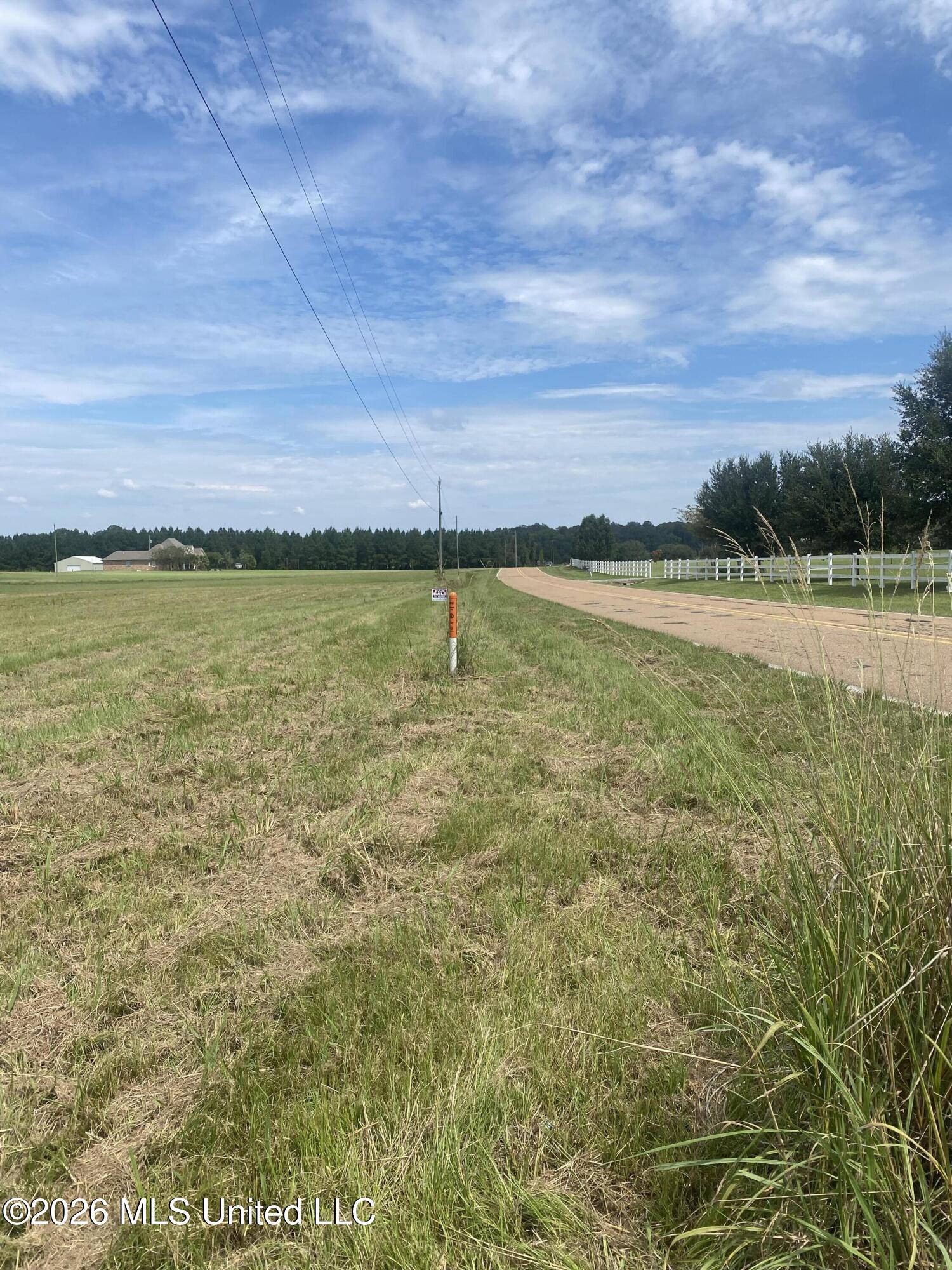 Leesburg Road Pelahatchie, MS 39145 - Photo 4 of 15 IMG_0820
