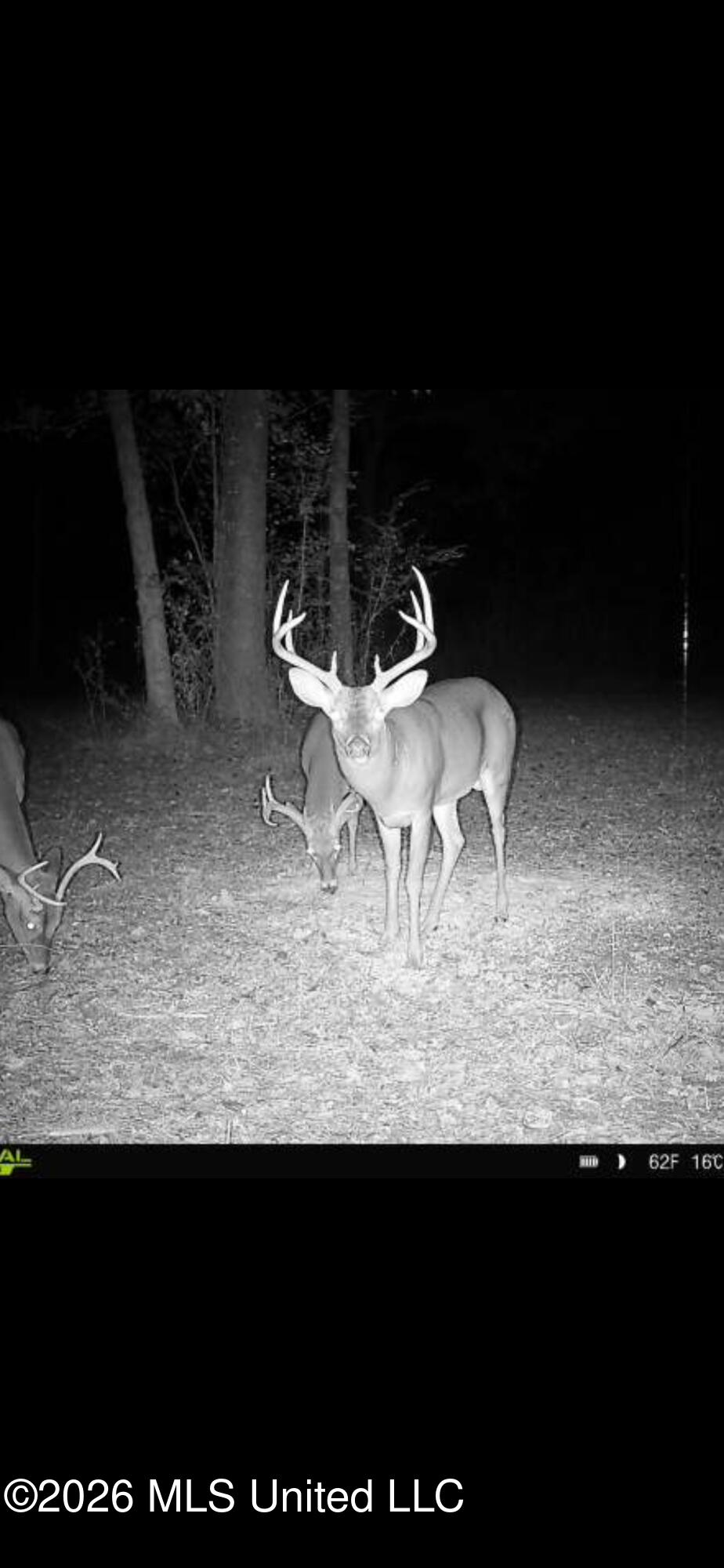 Leesburg Road Pelahatchie, MS 39145 - Photo 10 of 15 IMG_5497