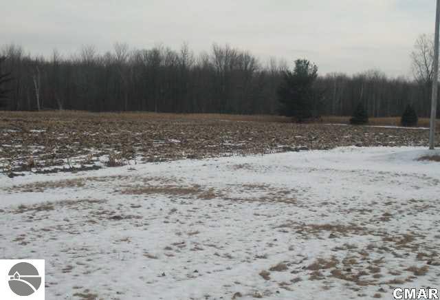 1961 South Loomis Road Mount Pleasant, MI 48858 - Photo 5 of 5 1767072-4.JPG