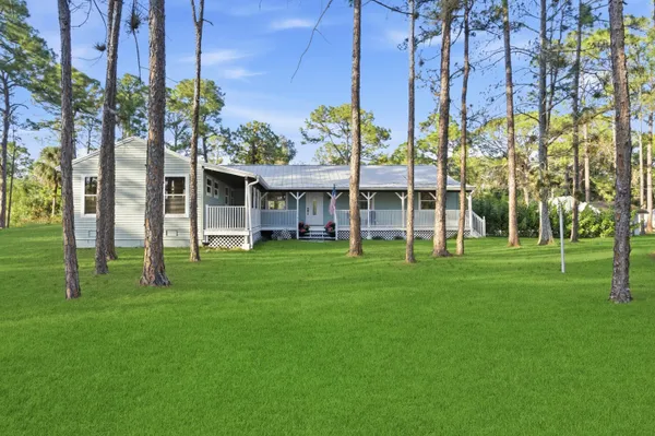 a park with lots of trees