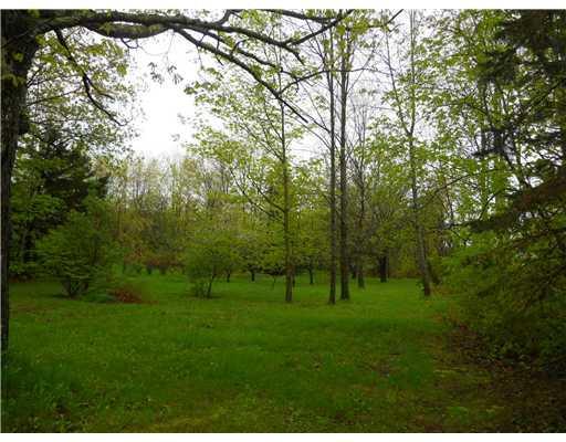 131 Watson Heights Road Kents Hill, ME 04349 - Photo 10 of 22 Yard/Garden. Lots of Trees - Apple,...