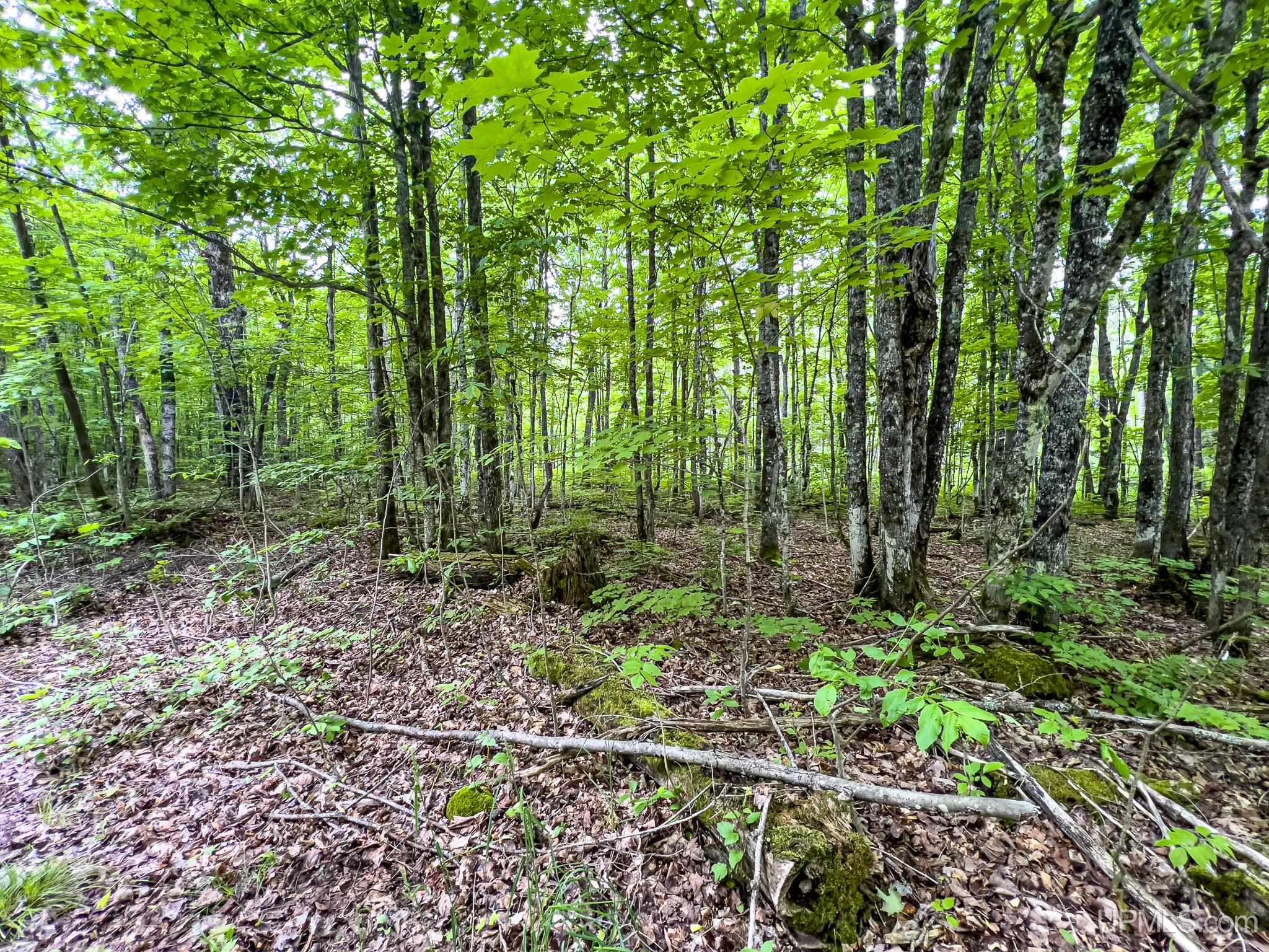 4 Grade Road Wakefield, MI 49968 - Photo 15 of 15
