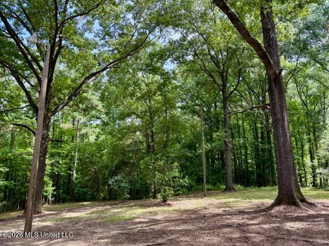 55 Scheffel Road Natchez, MS 39120 - Photo 5 of 29 55 Scheffel Pic 5