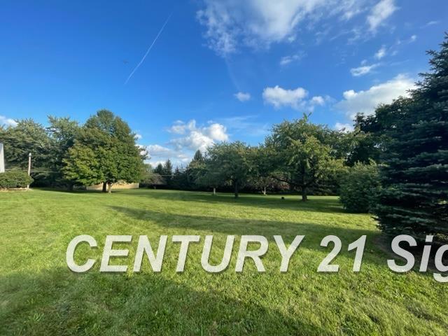 4416 Dillon Road Flushing, MI 48433 - Photo 5 of 5
