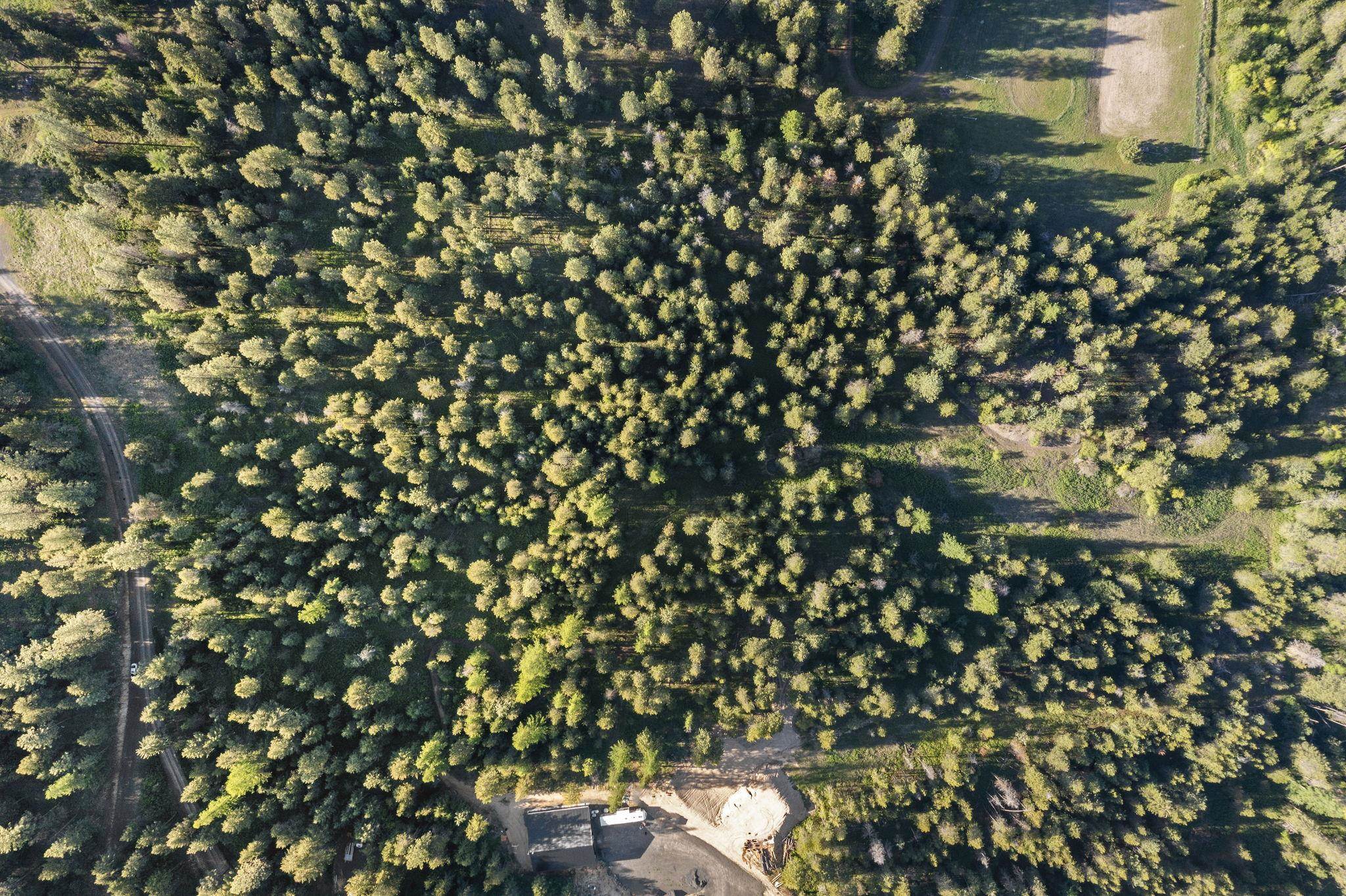 Xxxxx Xxxxx Felt Road Colbert, WA 99005 - Photo 16 of 17