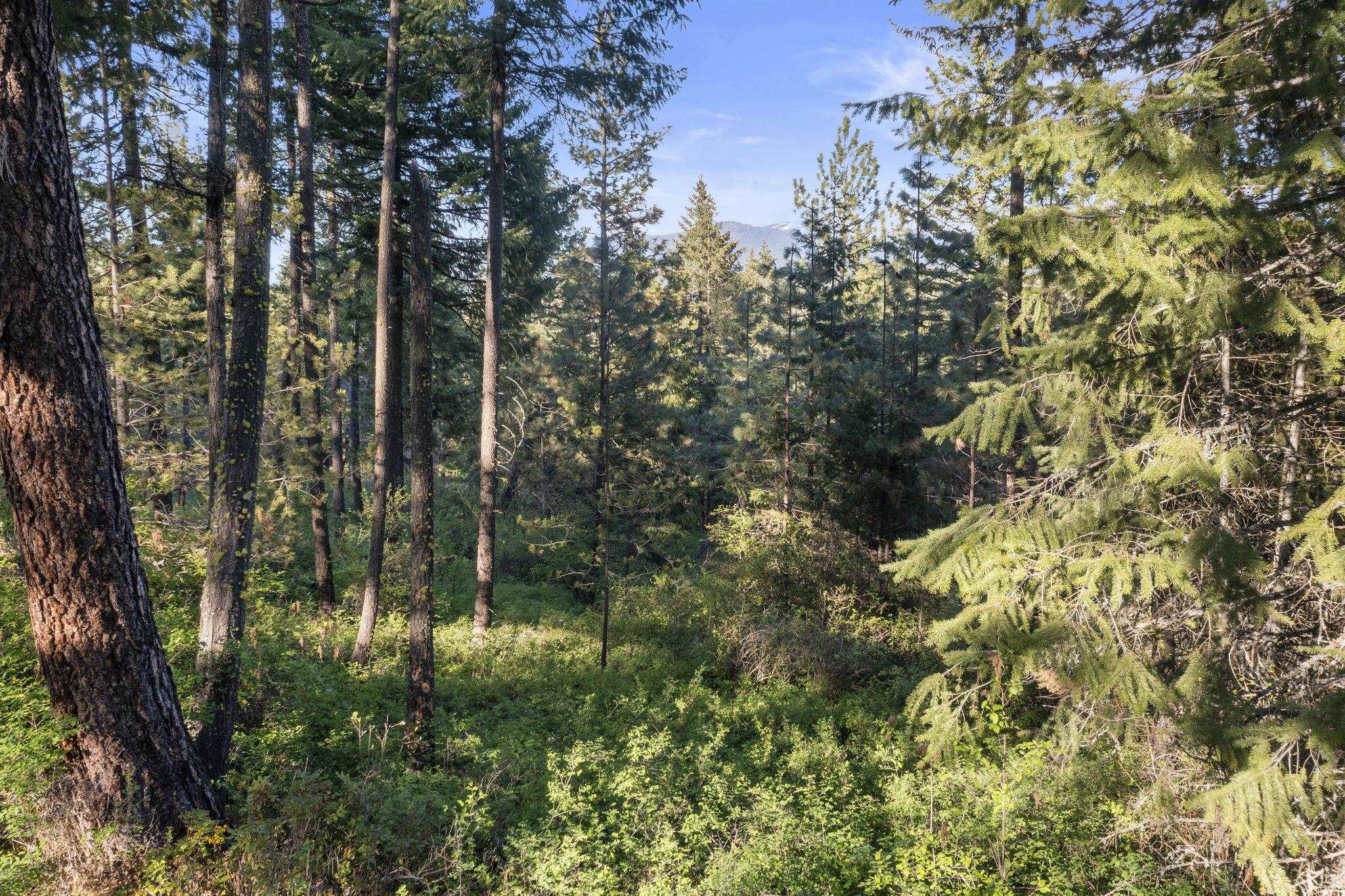 Xxxxx Xxxxx Felt Road Colbert, WA 99005 - Photo 3 of 17