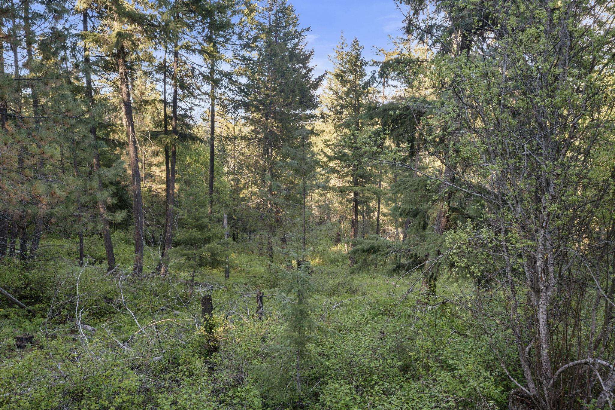 Xxxxx Xxxxx Felt Road Colbert, WA 99005 - Photo 4 of 17