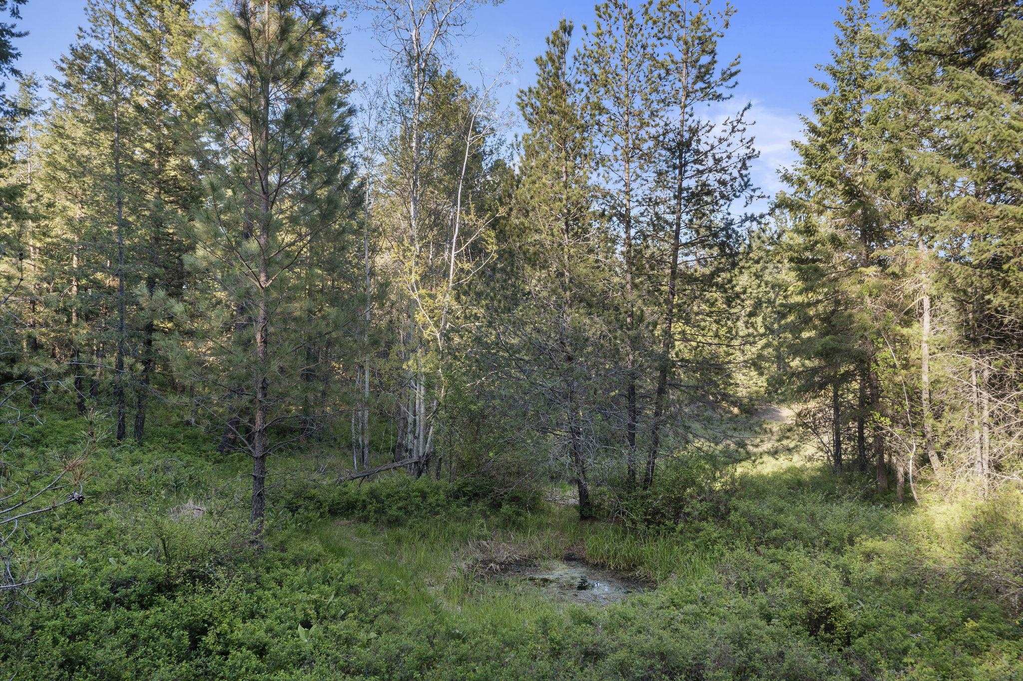 Xxxxx Xxxxx Felt Road Colbert, WA 99005 - Photo 5 of 17