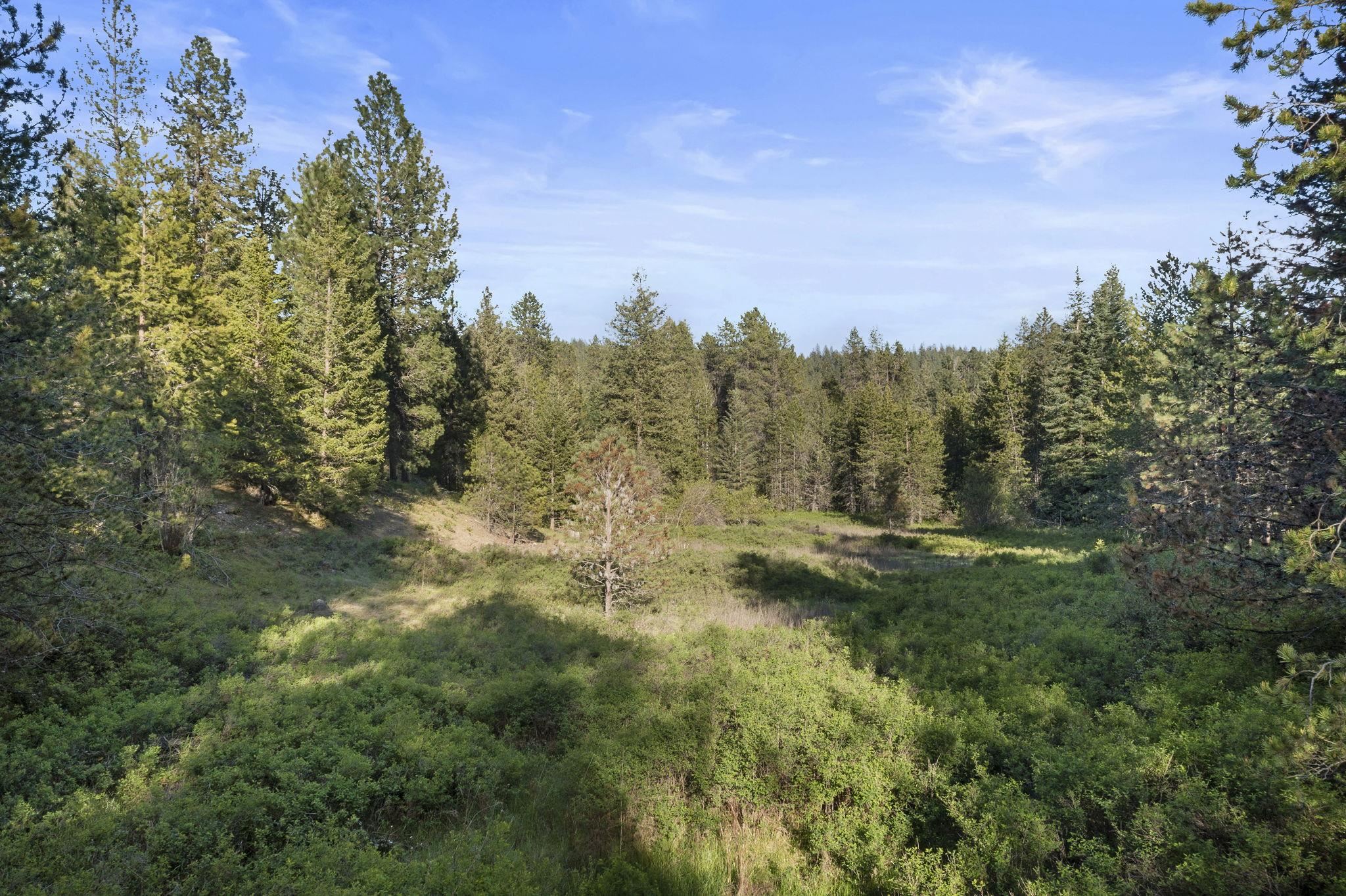 Xxxxx Xxxxx Felt Road Colbert, WA 99005 - Photo 6 of 17