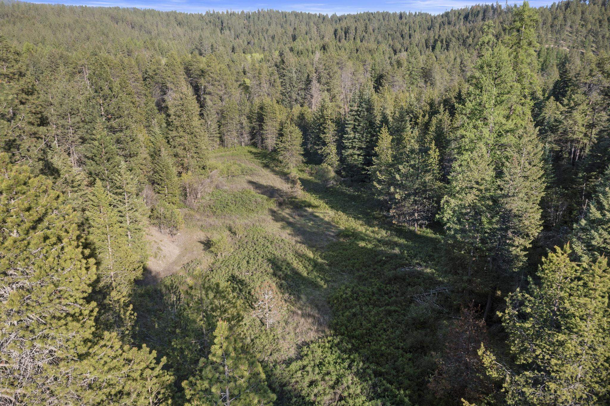 Xxxxx Xxxxx Felt Road Colbert, WA 99005 - Photo 7 of 17