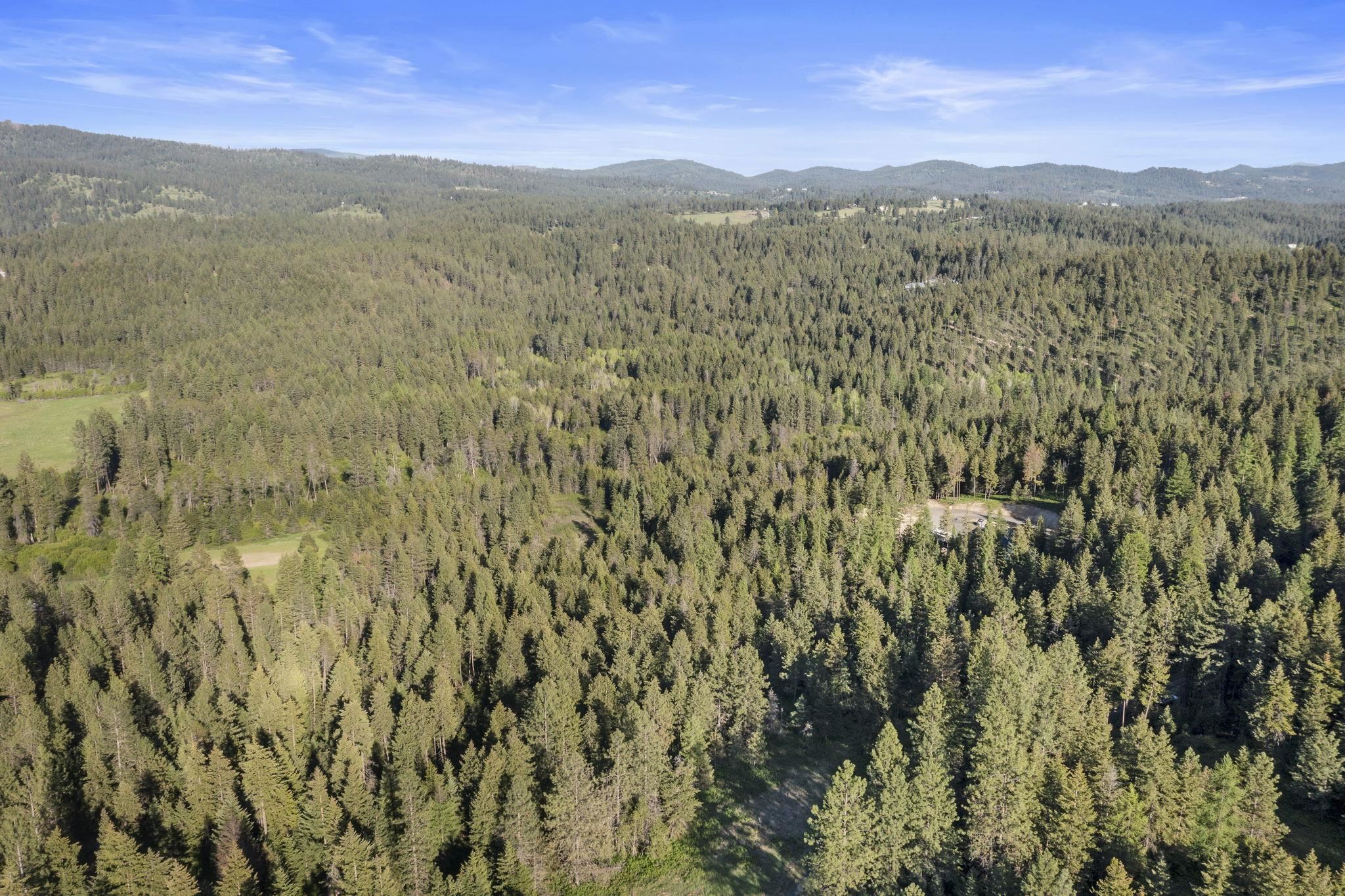 Xxxxx Xxxxx Felt Road Colbert, WA 99005 - Photo 10 of 17