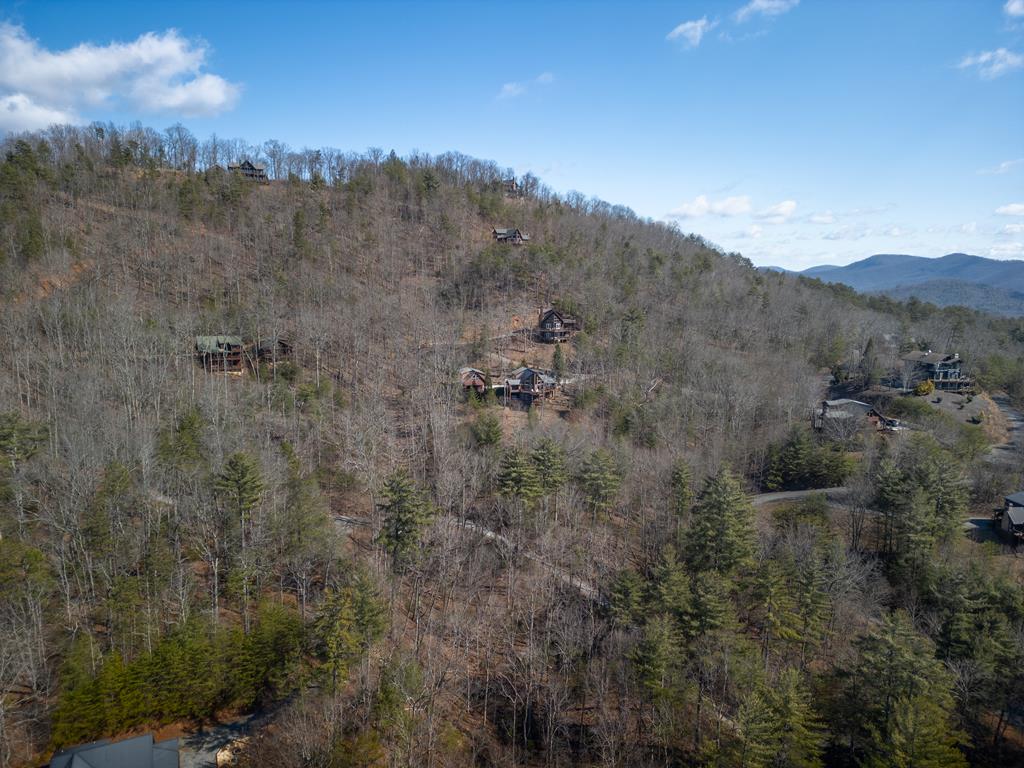101 Falling Rock Road Blue Ridge, GA 30513 - Photo 59 of 64