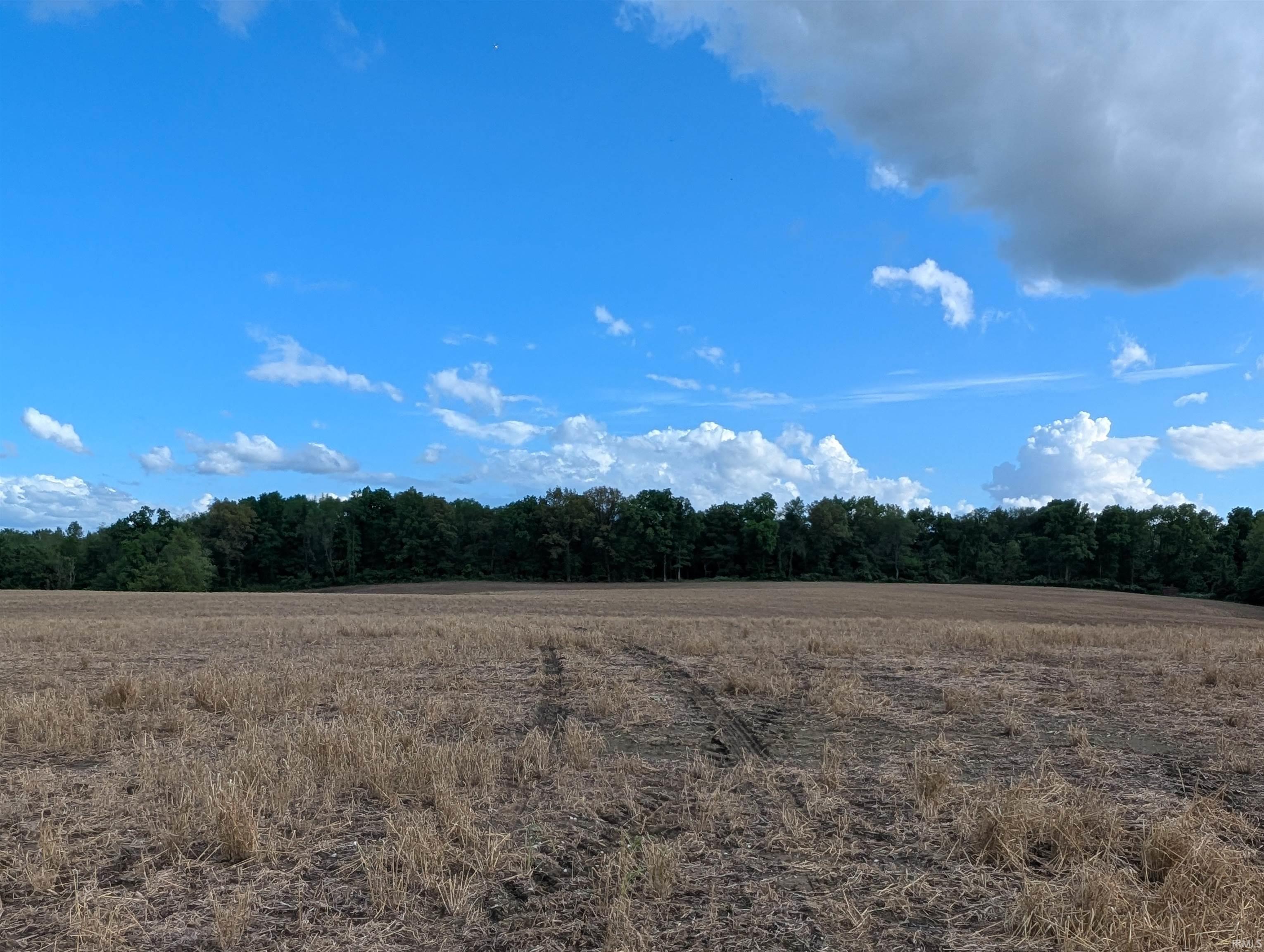 375 South S Cr Loogootee, IN 47553 - Photo 3 of 6