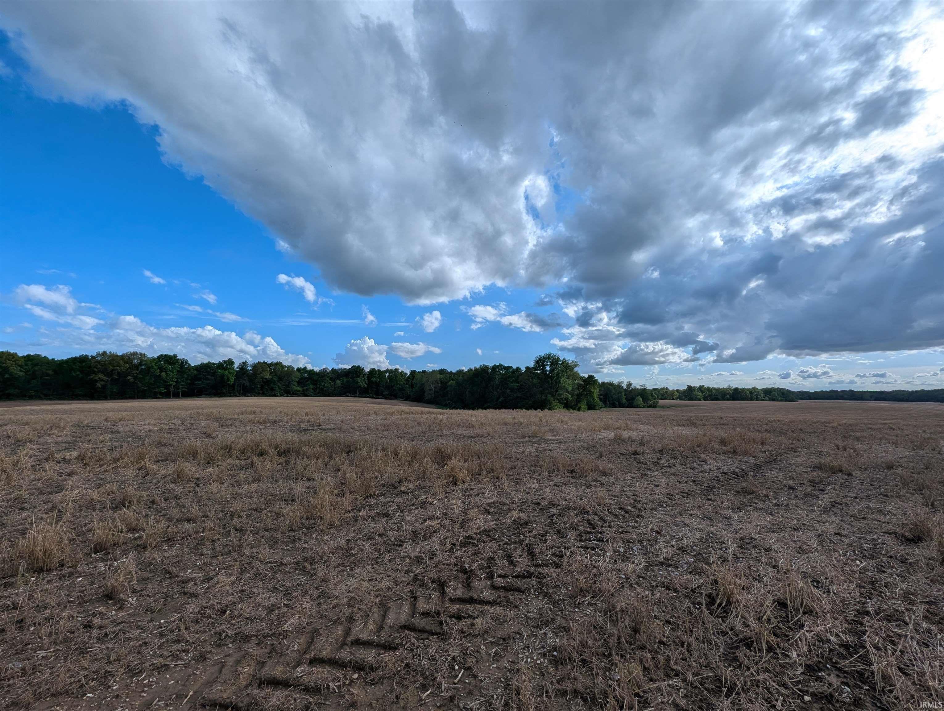 375 South S Cr Loogootee, IN 47553 - Photo 6 of 6