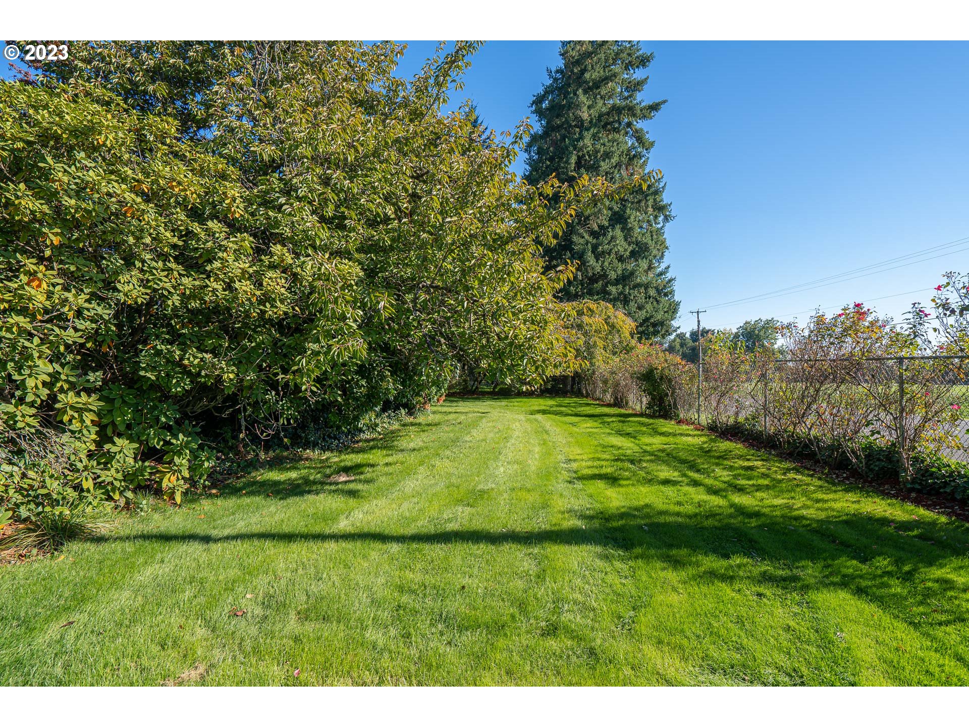 28171 Clear Lake Road Eugene, OR 97402 - Photo 21 of 48 a backyard of a house with lots of green space