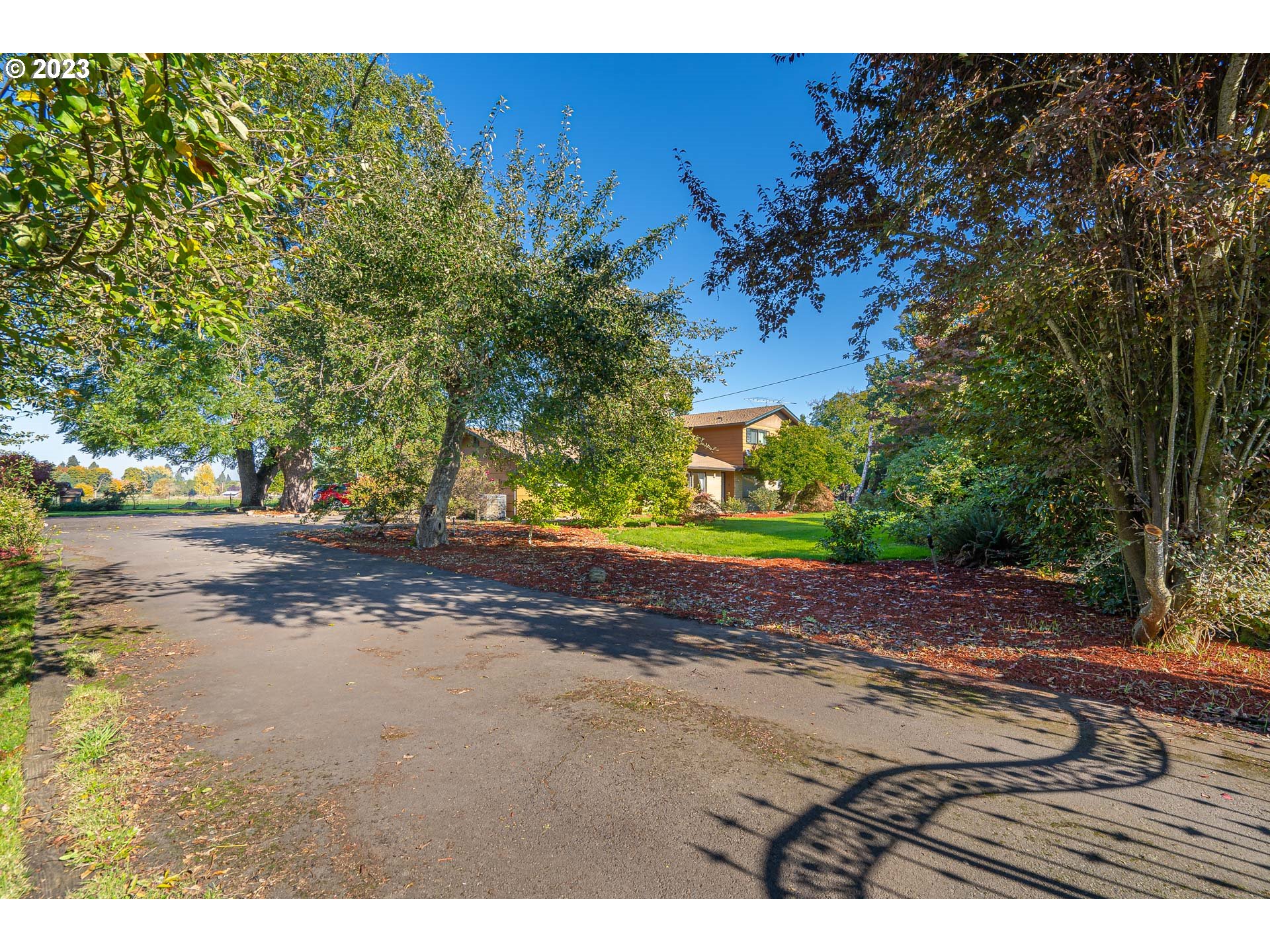 28171 Clear Lake Road Eugene, OR 97402 - Photo 22 of 48 a view of a yard with plants and trees