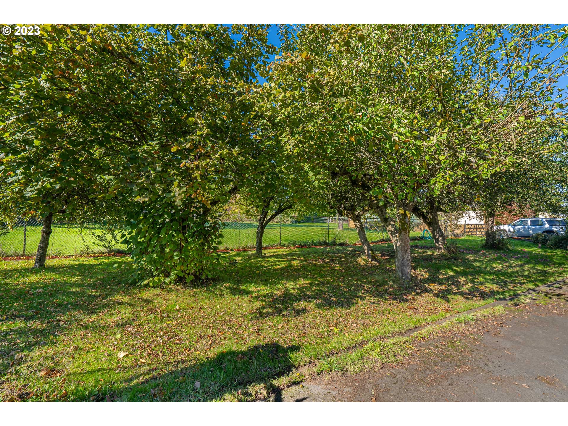 28171 Clear Lake Road Eugene, OR 97402 - Photo 23 of 48 a green field with lots of trees