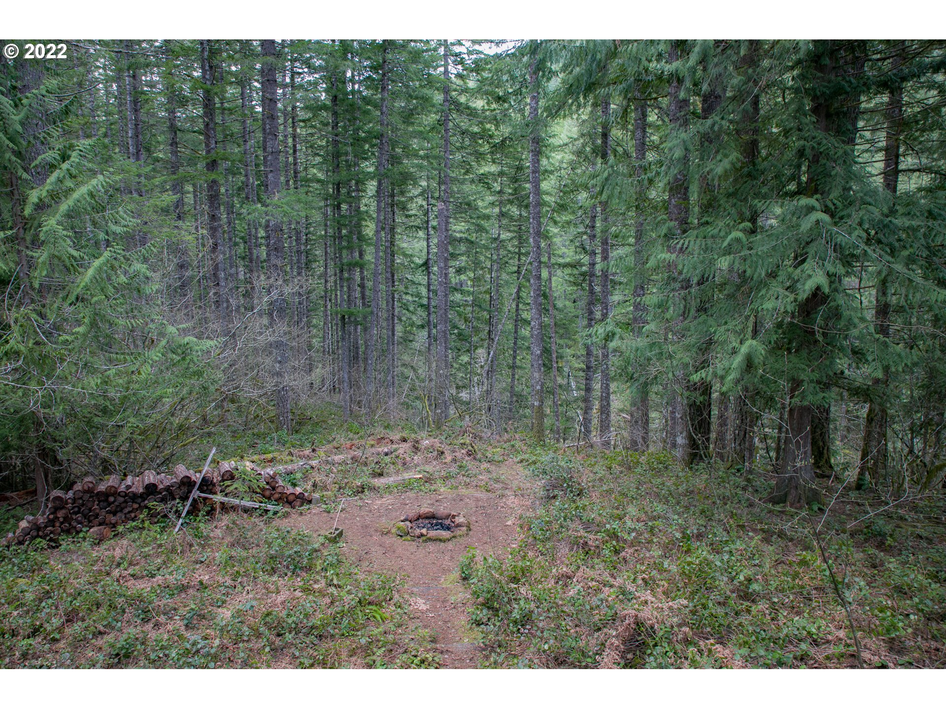 282 Heslen Road Carson, WA 98610 - Photo 13 of 17 Gallery Image 13