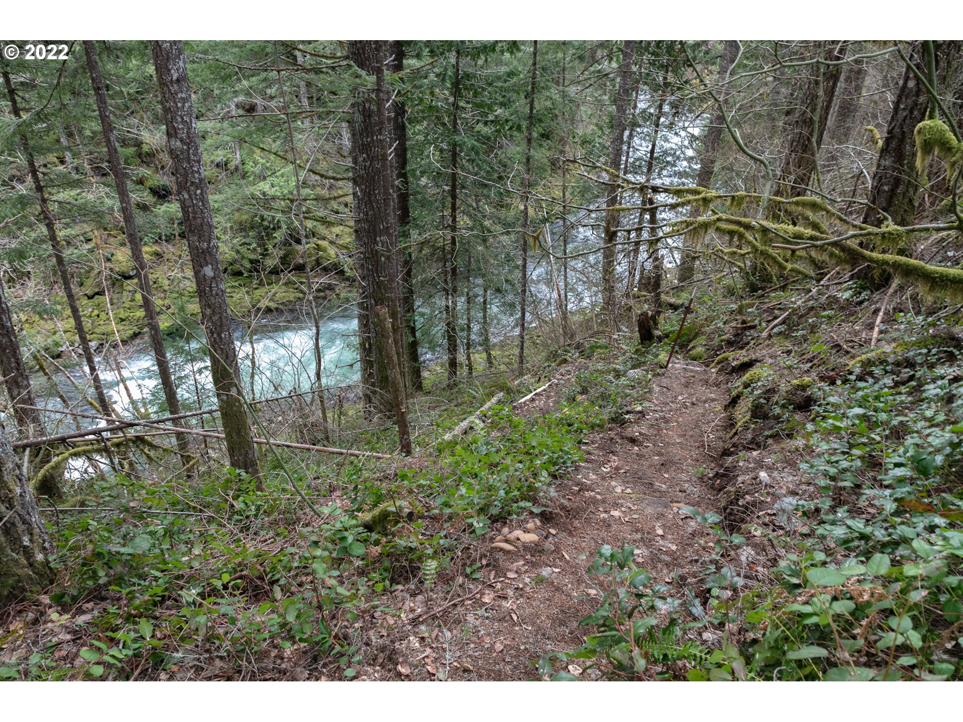 282 Heslen Road Carson, WA 98610 - Photo 15 of 17 Gallery Image 15