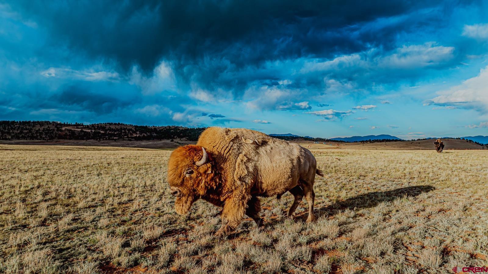 33145 Highway 9 Hartsel, CO 80449 - Photo 11 of 43 a view of a lake