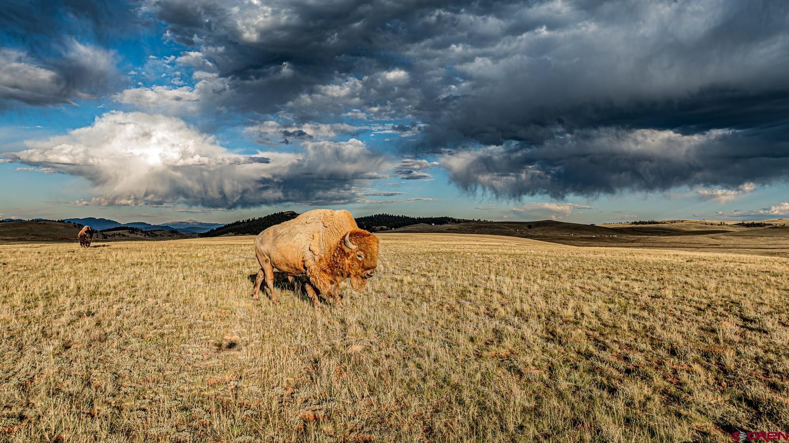 33145 Highway 9 Hartsel, CO 80449 - Photo 13 of 43 a view of lake view and mountain