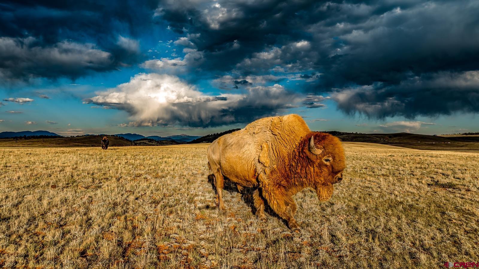 33145 Highway 9 Hartsel, CO 80449 - Photo 15 of 43 a view of a lake