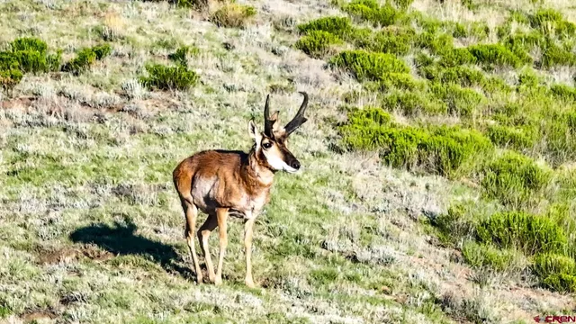 a view of a lake with a yard