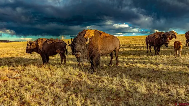 a view of yard with an outdoor space