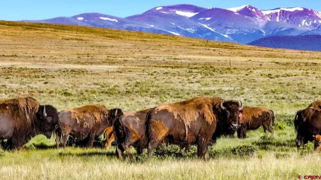 a view of a ocean view