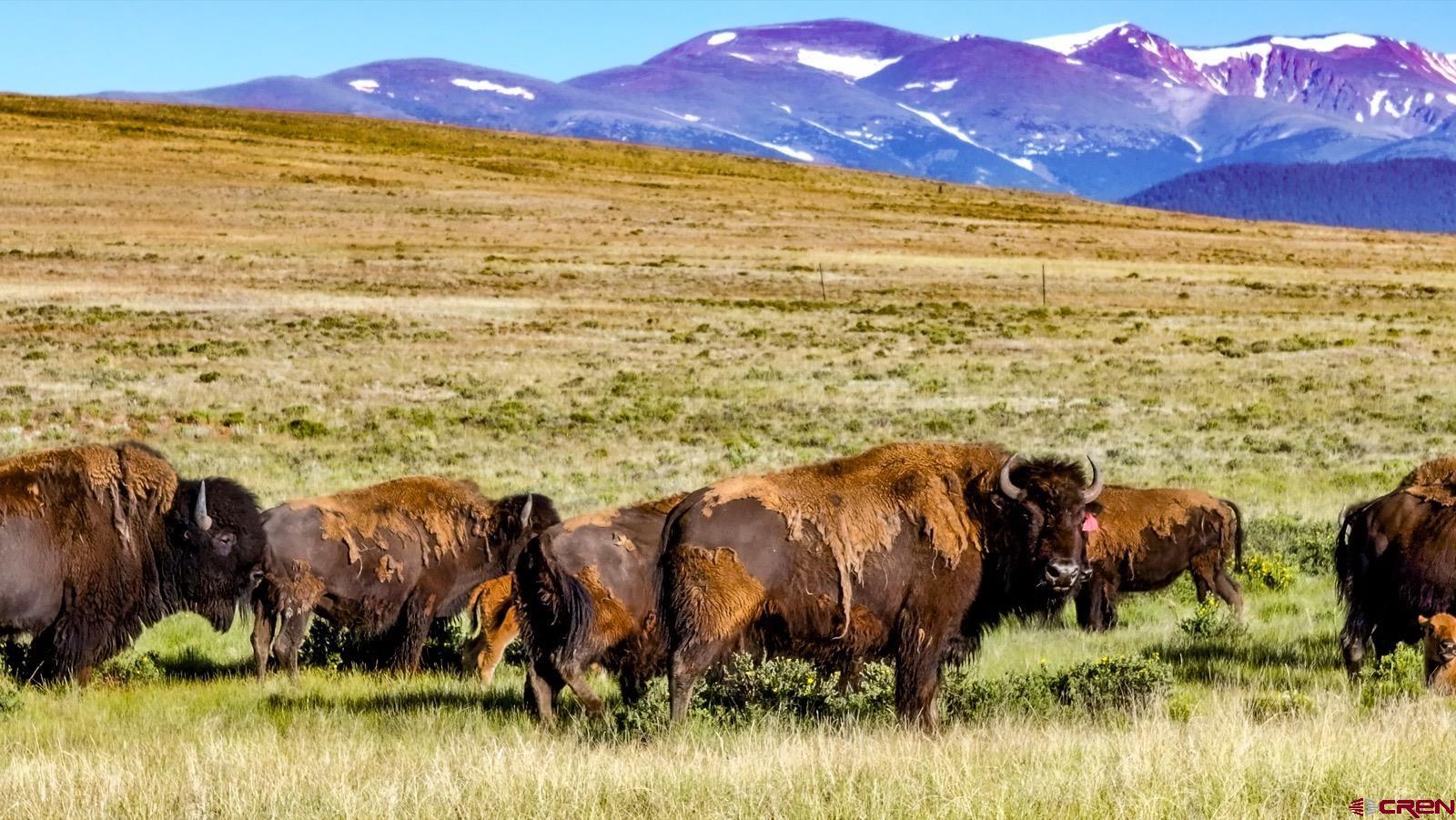 33145 Highway 9 Hartsel, CO 80449 - Photo 21 of 43 a view of an ocean with beach and mountain view