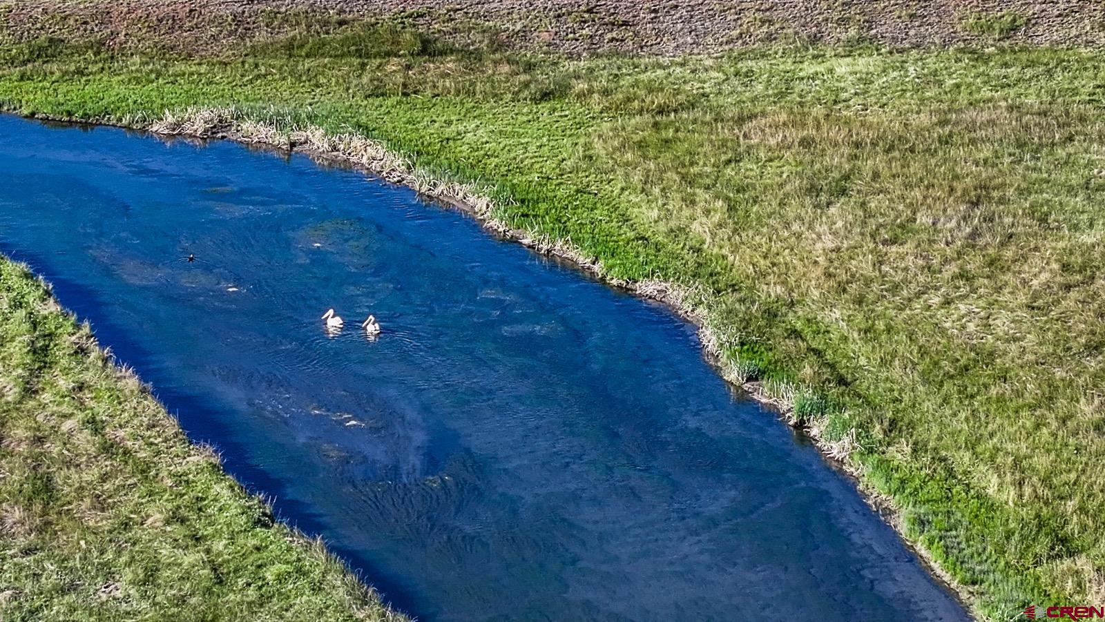 33145 Highway 9 Hartsel, CO 80449 - Photo 23 of 43 a view of a pathway both side of yard