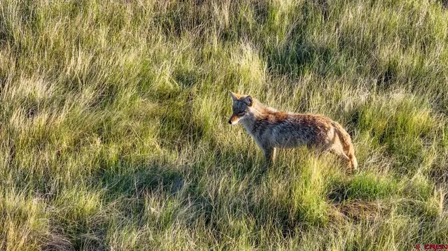 a view of an ocean and a mountain