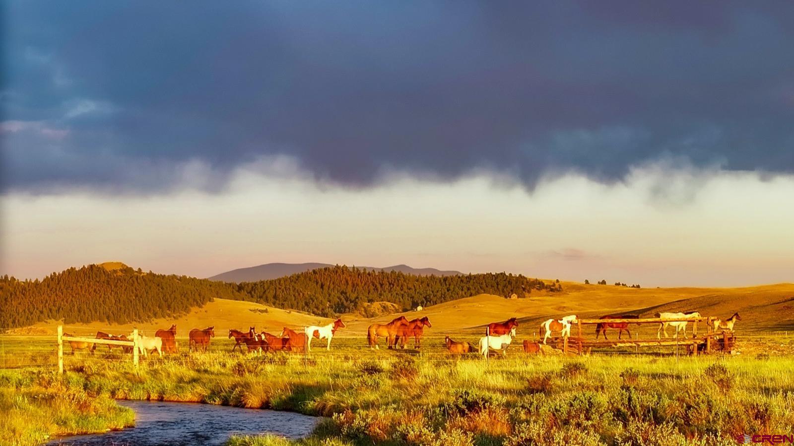 33145 Highway 9 Hartsel, CO 80449 - Photo 36 of 43 a view of an ocean