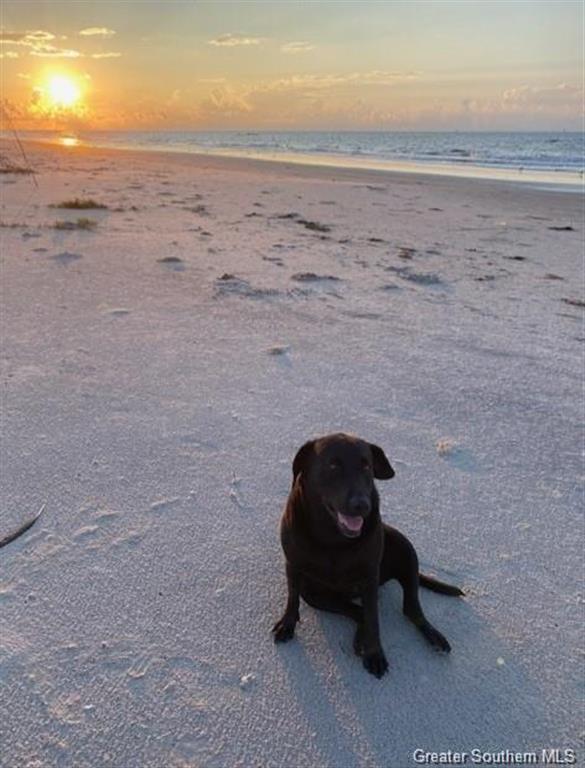 174 Kathy Drive Cameron, LA 70631 - Photo 5 of 21