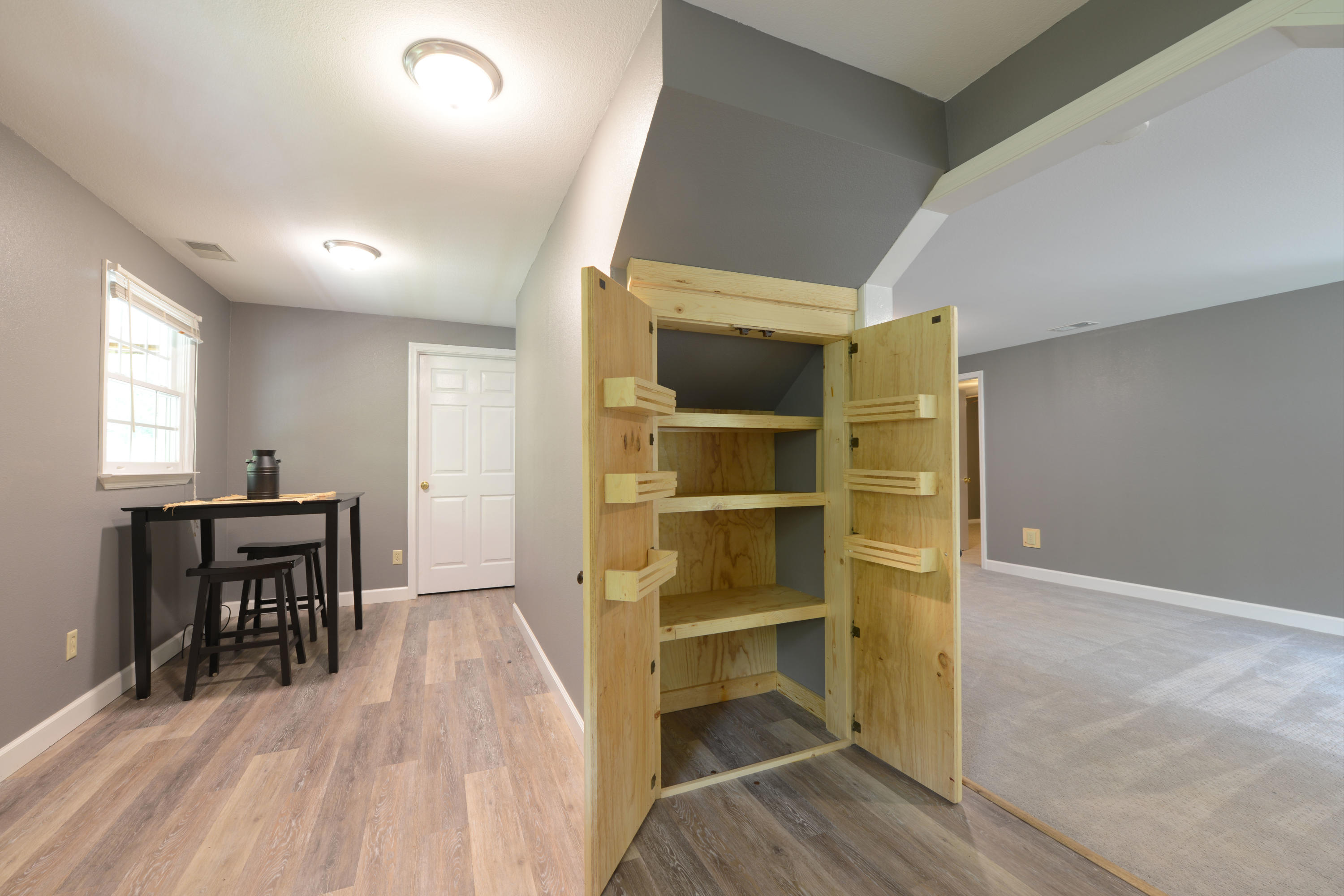 245 Gray Road Greeneville, TN 37743 - Photo 33 of 51 Pantry under stairs