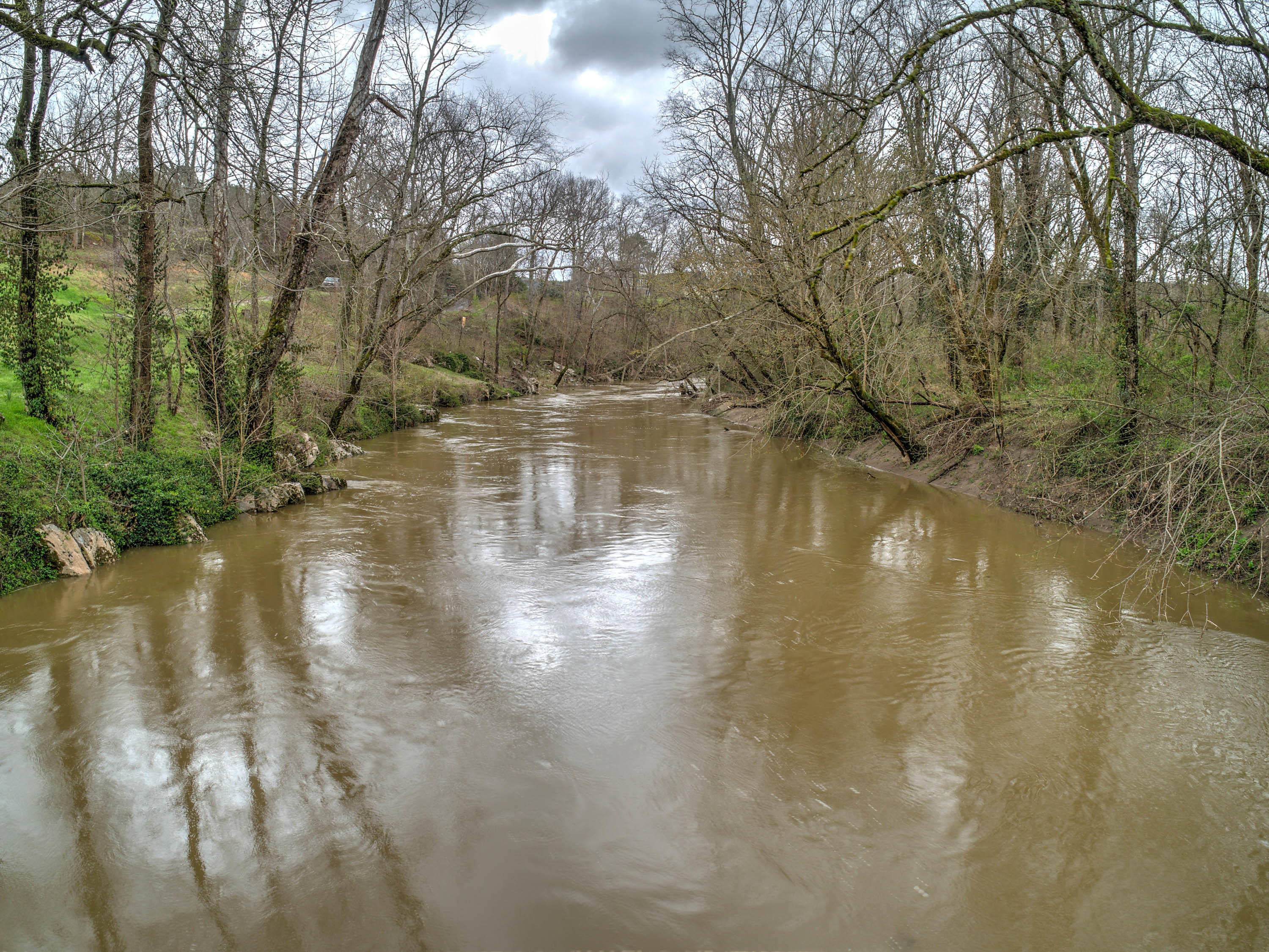245 Gray Road Greeneville, TN 37743 - Photo 7 of 51 Peaceful Riverfront