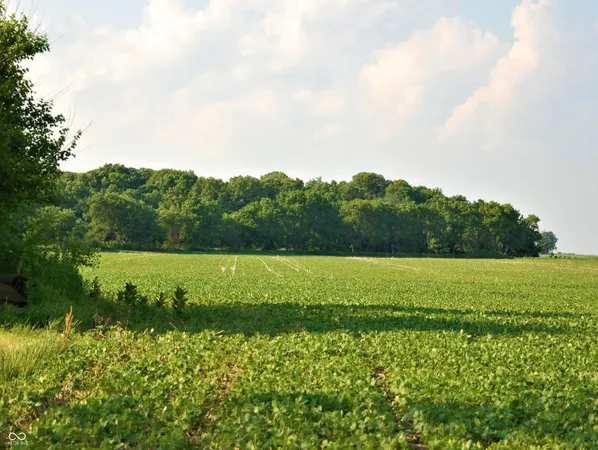 $1,500,000 | 10188 Highway 47, Sheridan, IN 46069