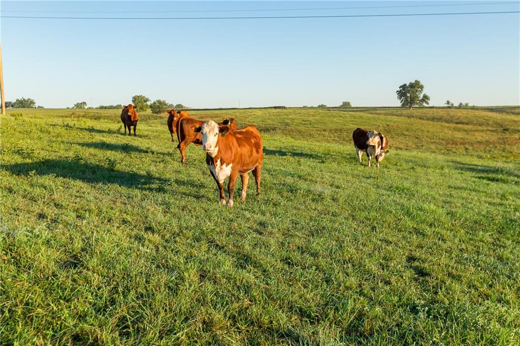 -a-2) Southeast 401st Road Leeton, MO 64761 - Photo 7 of 47