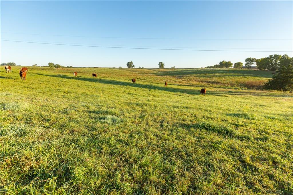 -a-2) Southeast 401st Road Leeton, MO 64761 - Photo 8 of 47