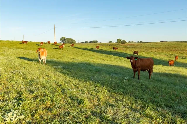 $107,500 | -a-2) Southeast 401st Road, Leeton, MO 64761