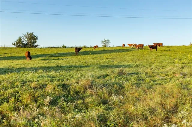 $107,500 | -a-2) Southeast 401st Road, Leeton, MO 64761