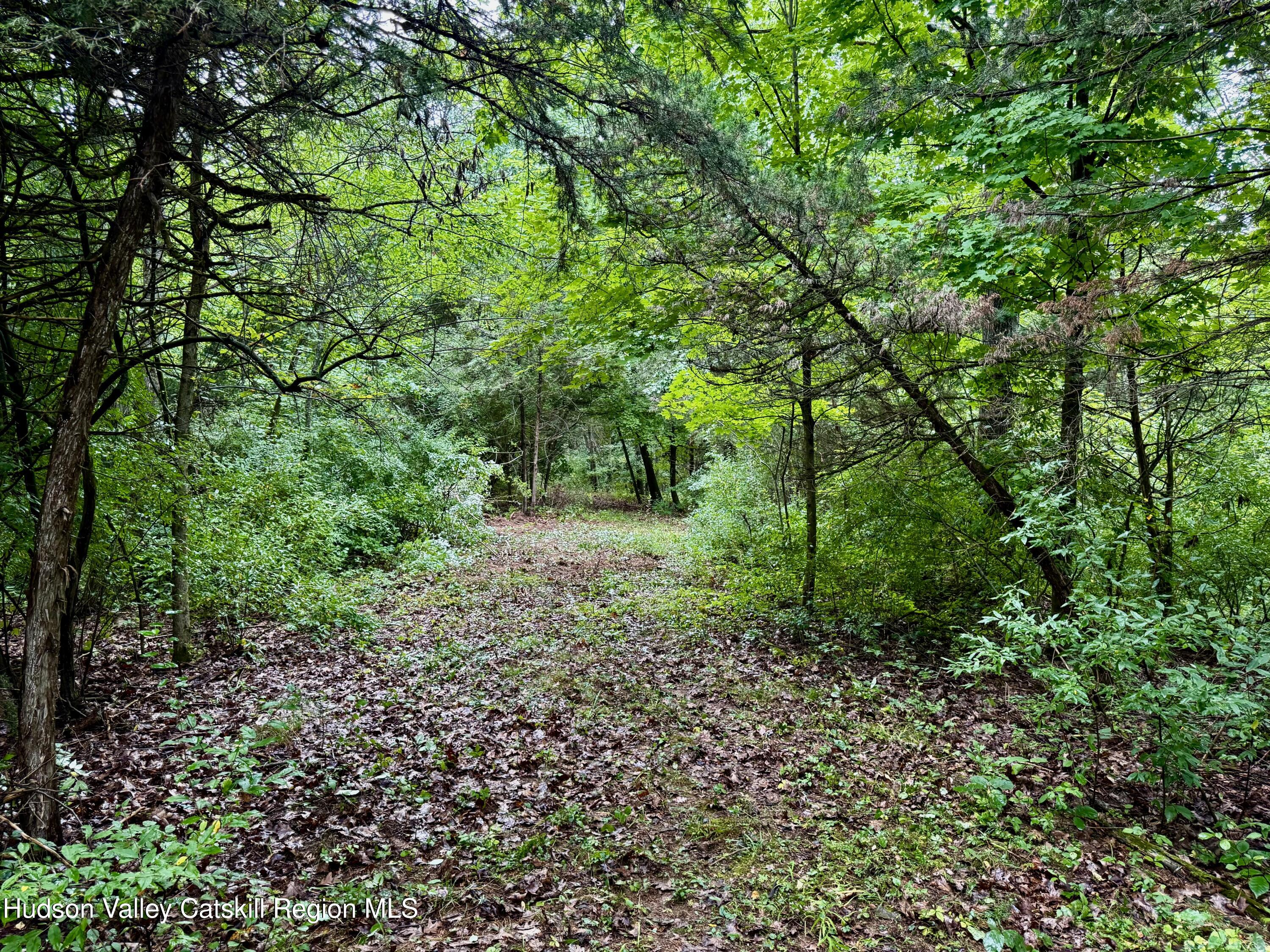 150 Weaver Road Elizaville, NY 12523 - Photo 9 of 10 IMG_3685