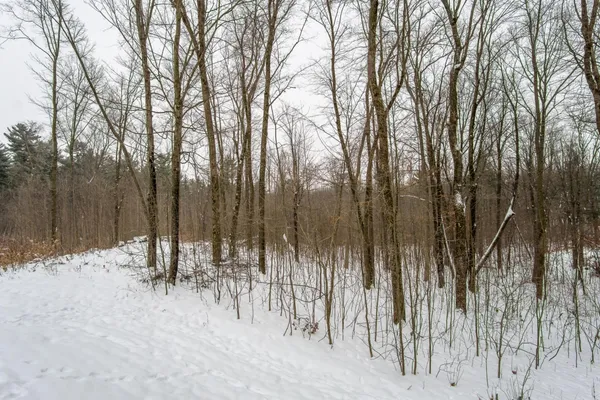 $589,000 | 2447 50th Avenue, Woodville, WI 54028