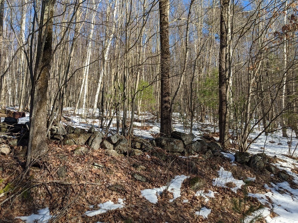 Lot 2 Old County Road Holland, MA 01521 - Photo 3 of 18 a view of outdoor space