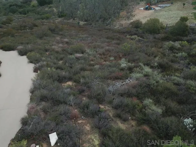 a view of a dry yard