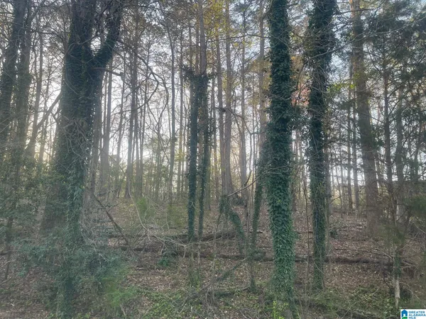 $19,000 | Tracy Street, Unit 4, Jasper, AL 35504